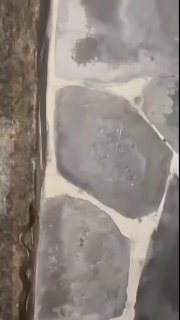 Незванная гостья и общение с туристами