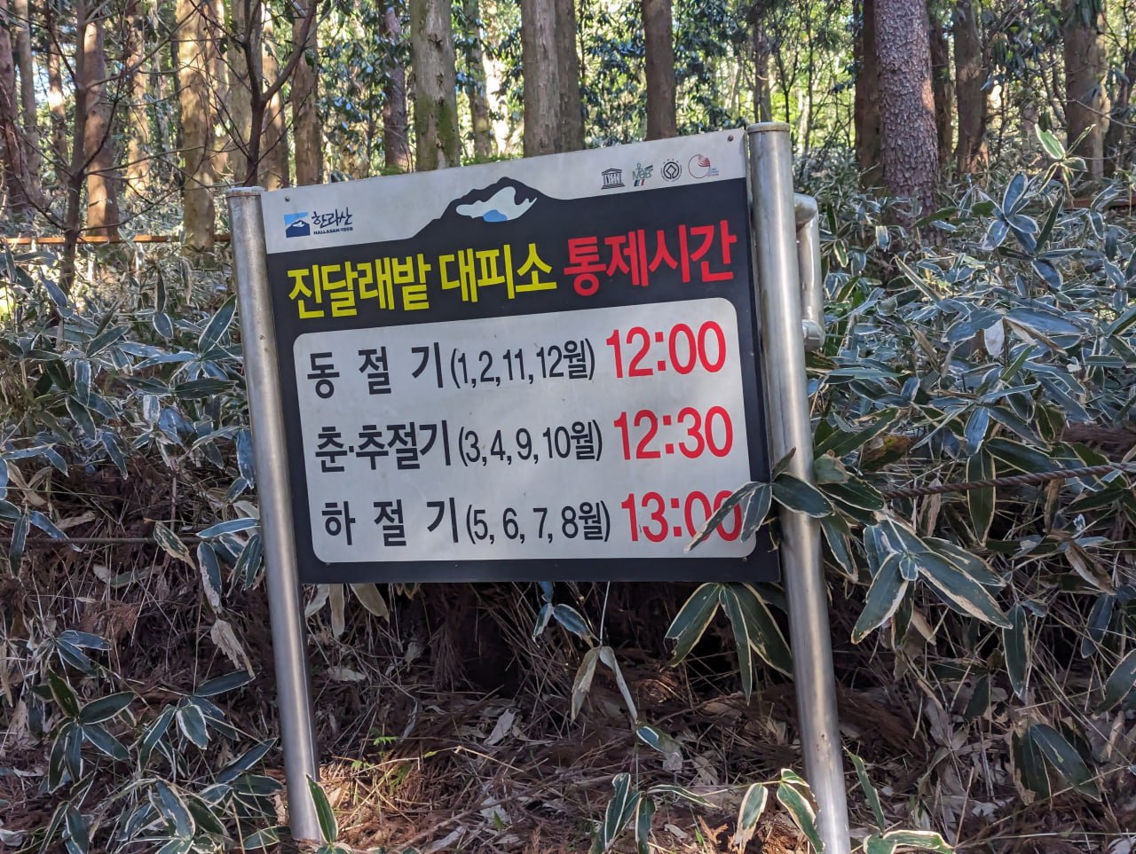 Изучение корейского и туризм в Корее