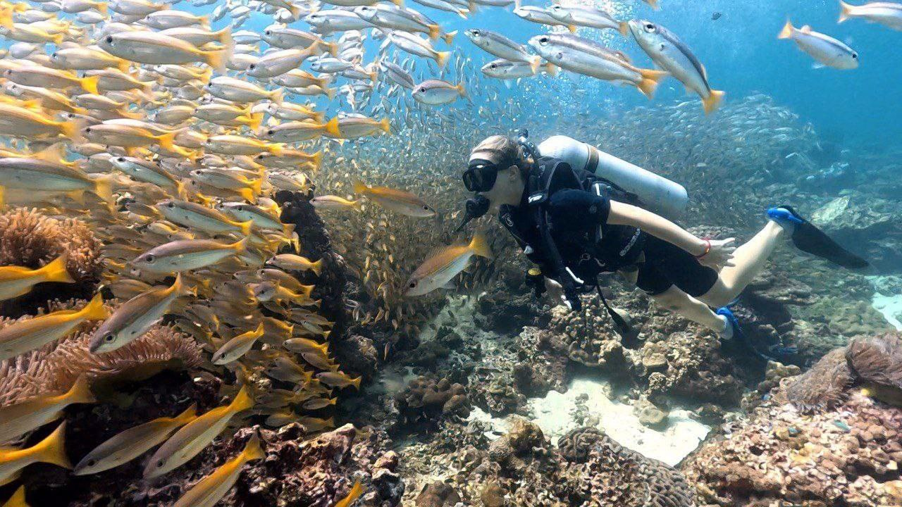 Дайвинг на Пхукете с инструкторами