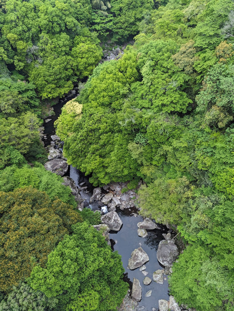Путешествие на остров Чеджу