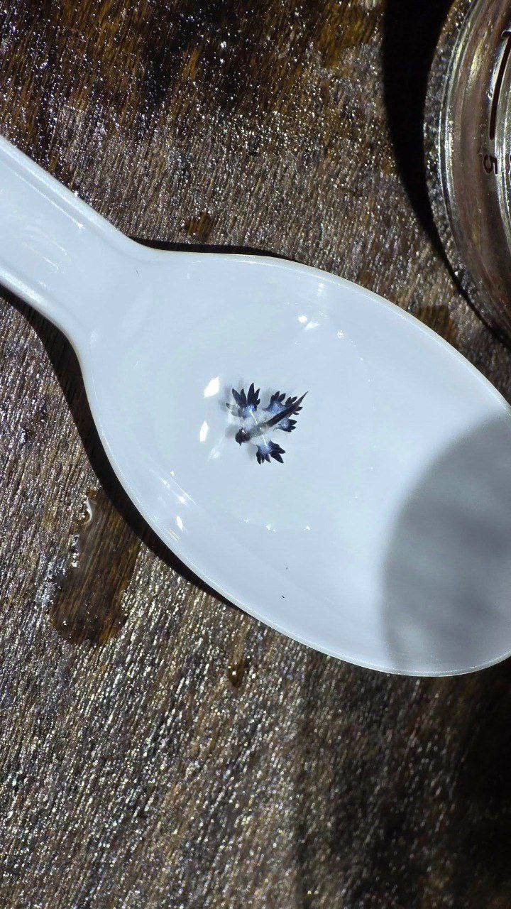 Ядовитые дракончики на пляжах Пхукета