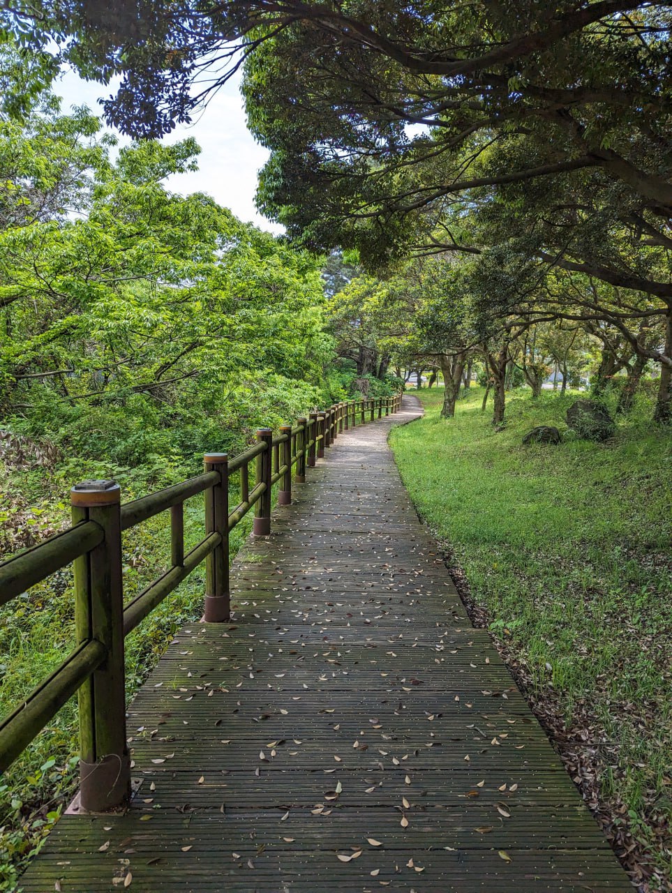 Приключения в ботаническом саду и тропах