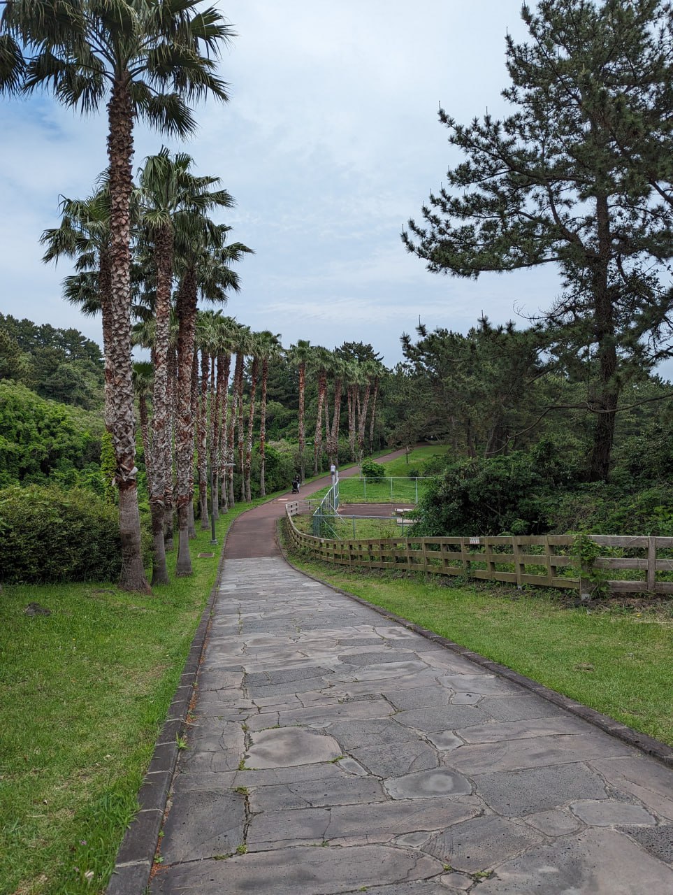 Приключения в ботаническом саду и тропах