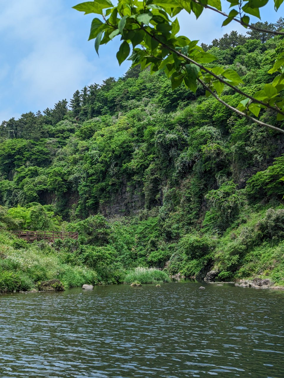 Приключения в ботаническом саду и тропах