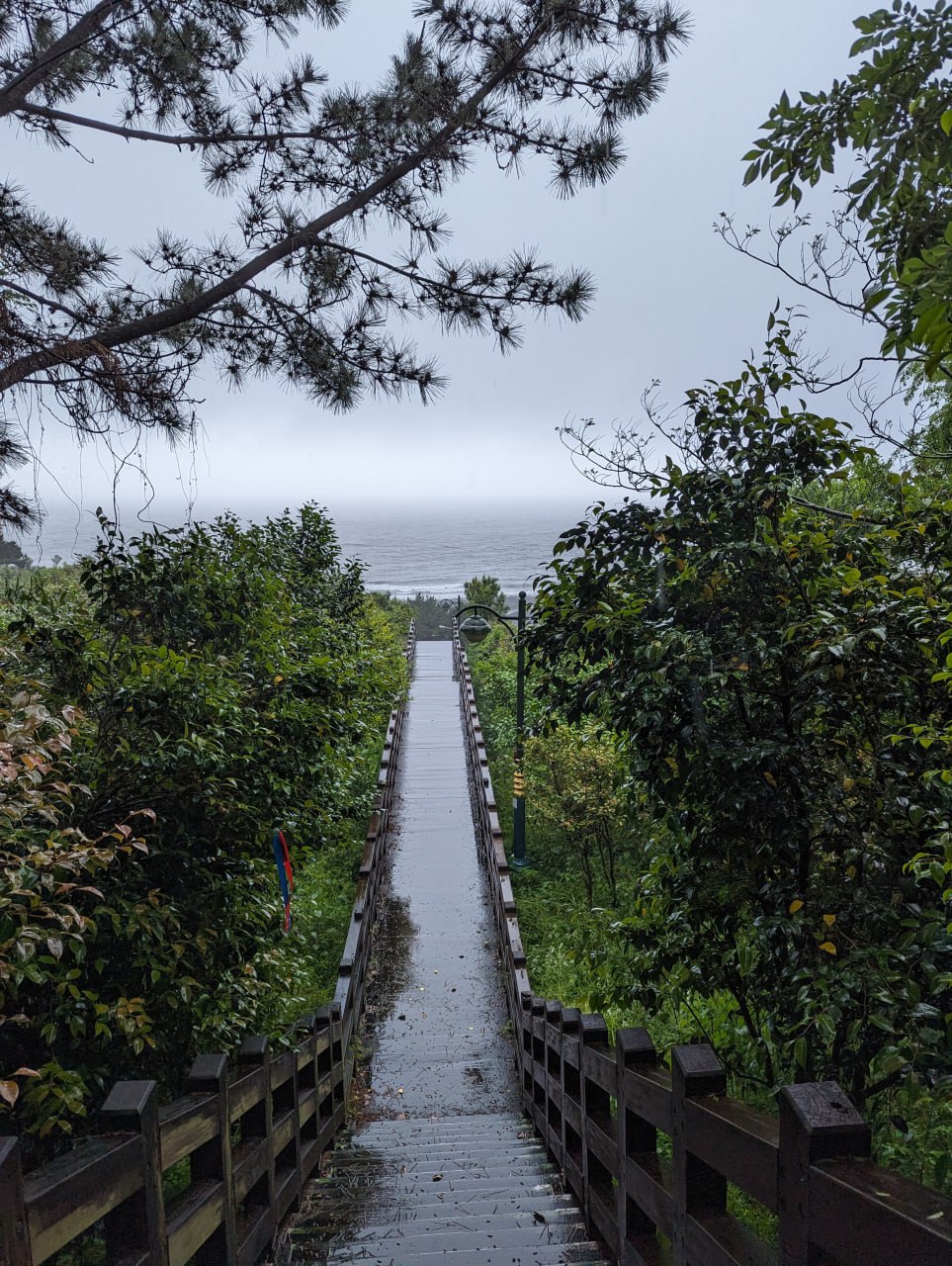 Приключения в ботаническом саду и тропах