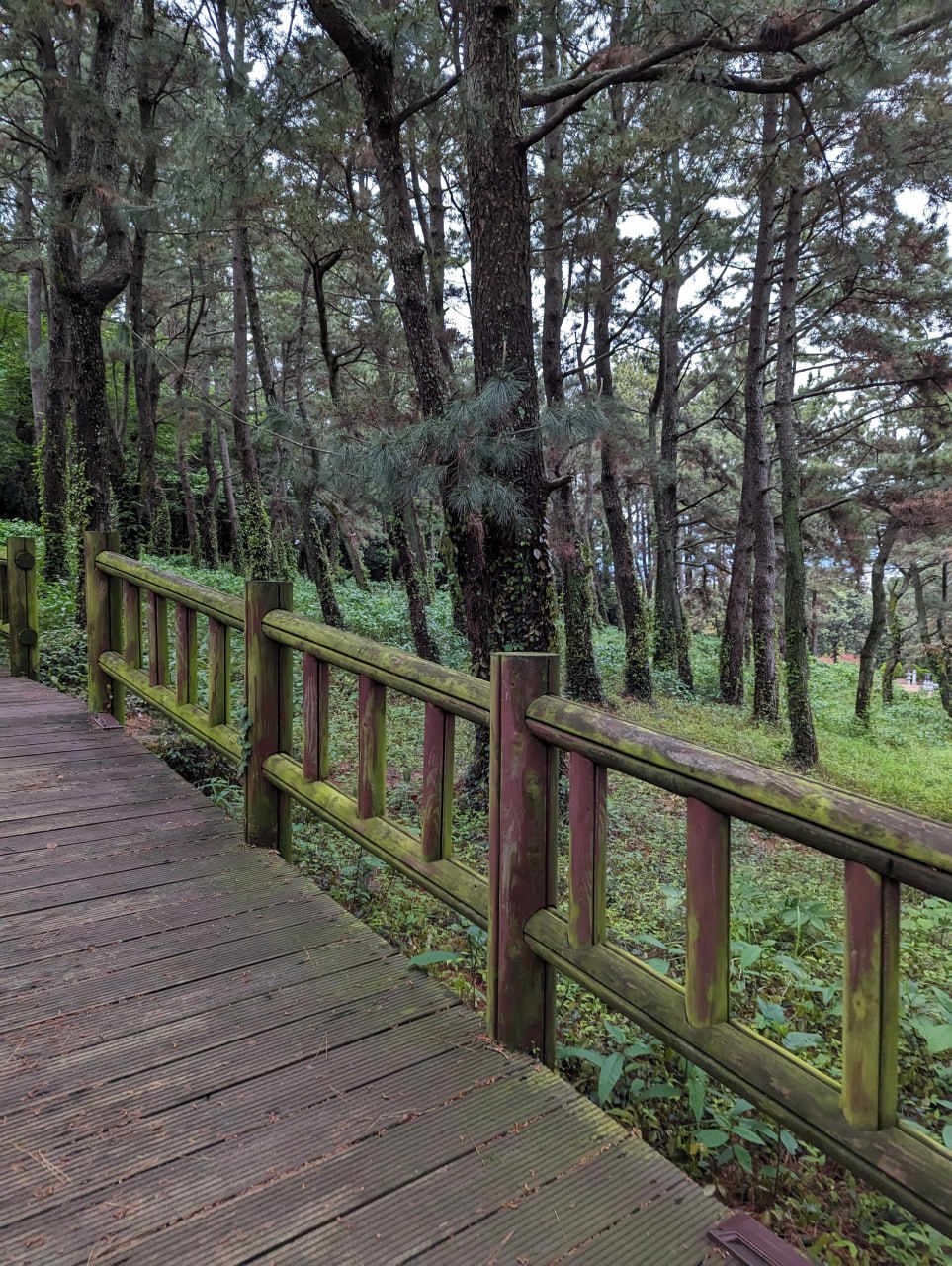 Приключения в ботаническом саду и тропах