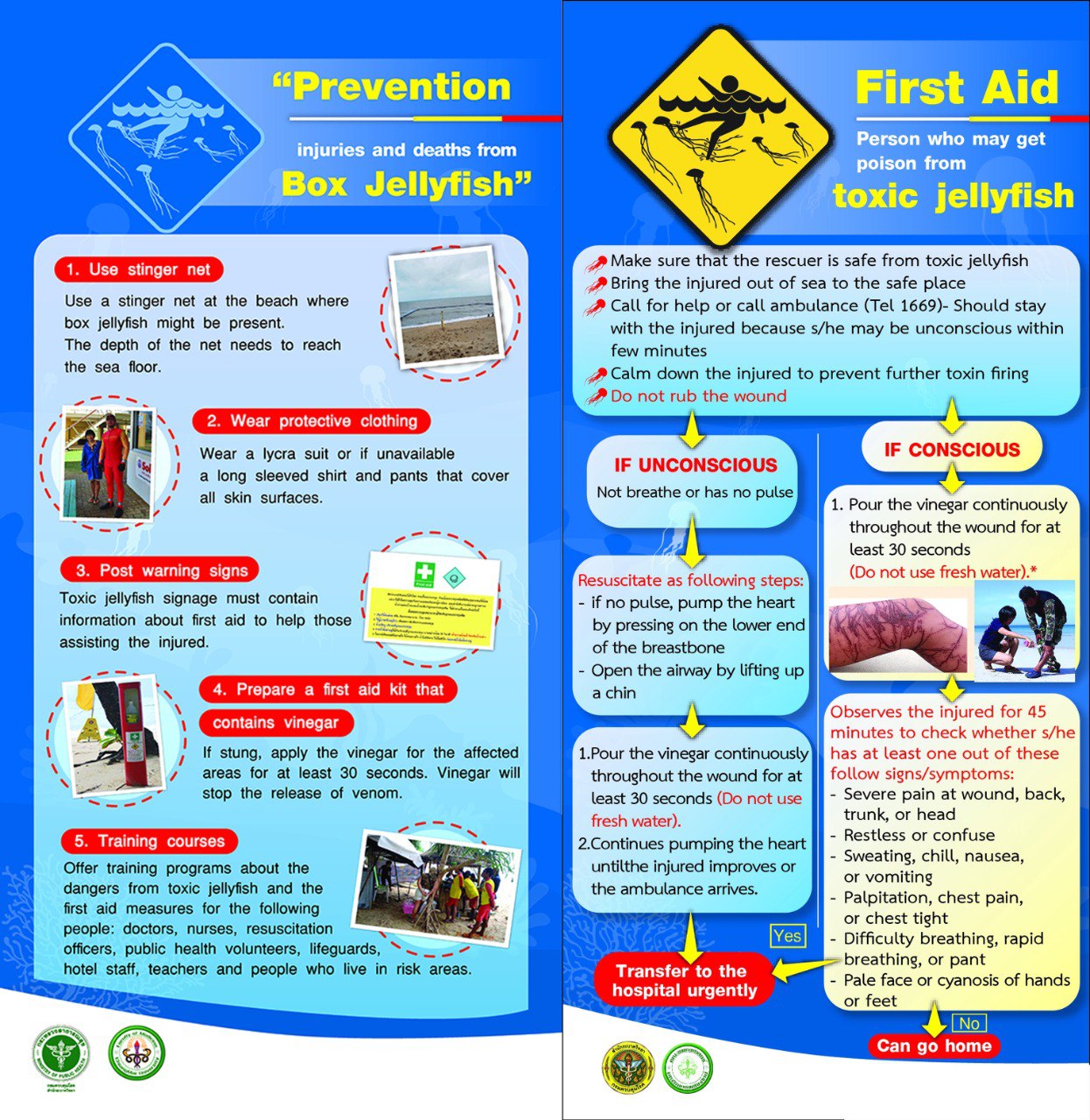 Ядовитые морские животные на пляжах Пхукета