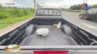 Необычное ДТП с дурианом