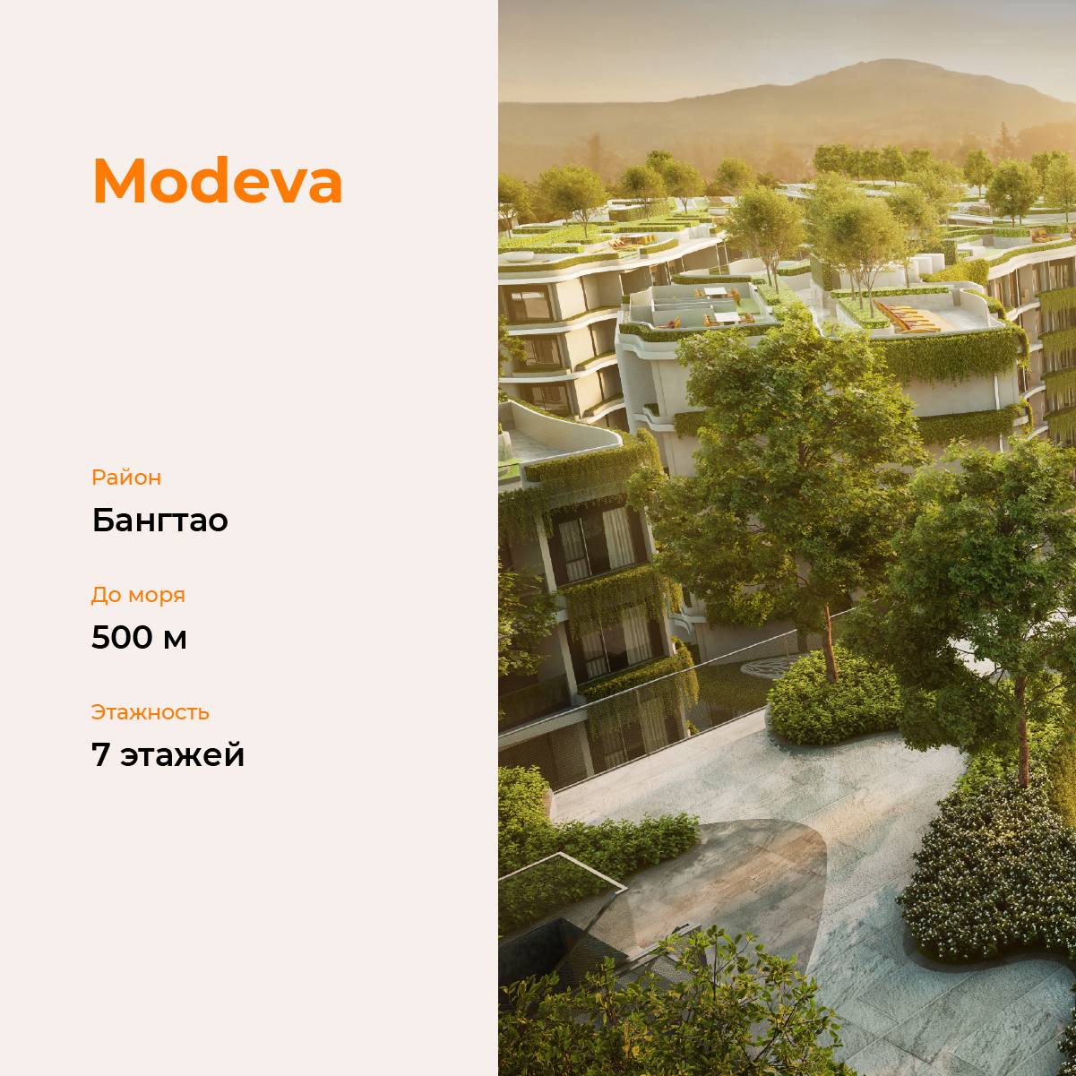 Проект недвижимости в Пхукете