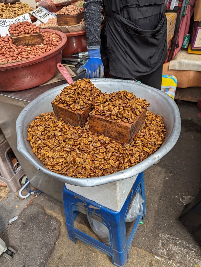 Впечатления из поездки в Корею