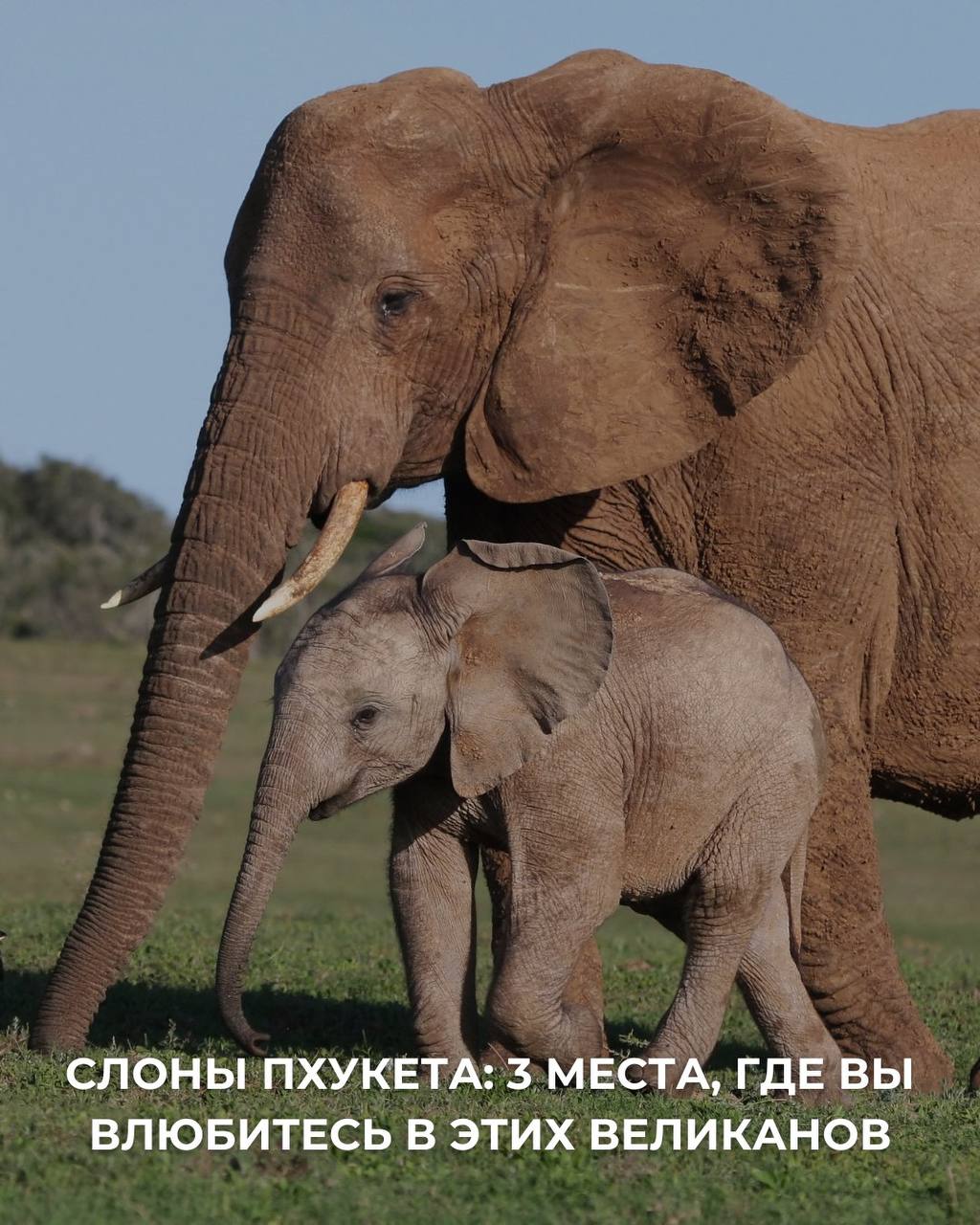 Недвижимость на Пхукете: продажа и аренда
