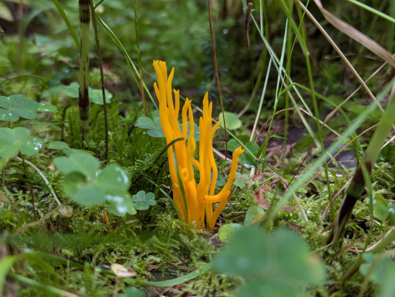 Приключения на озере с необычными стоянками