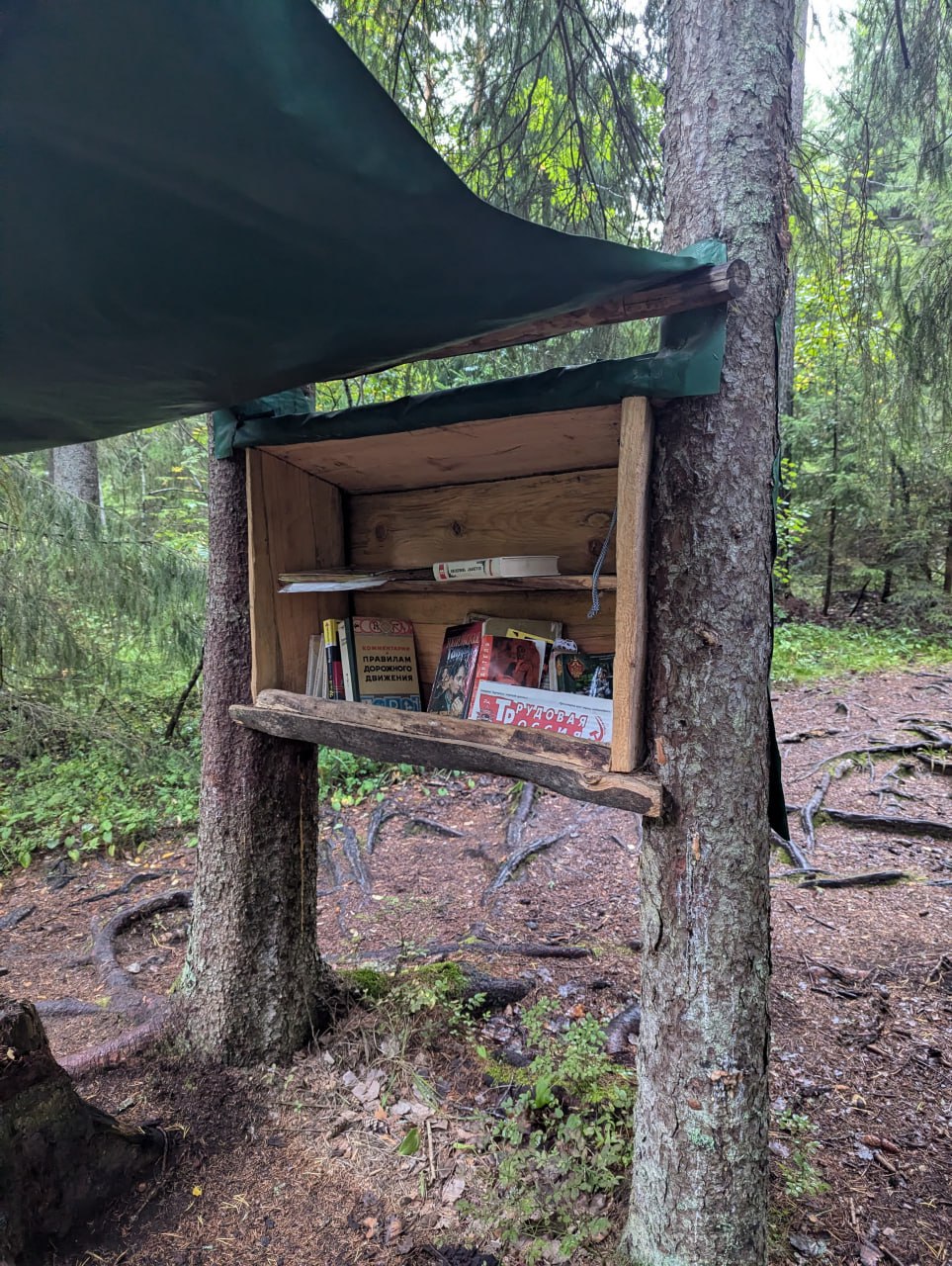 Приключения на озере с необычными стоянками