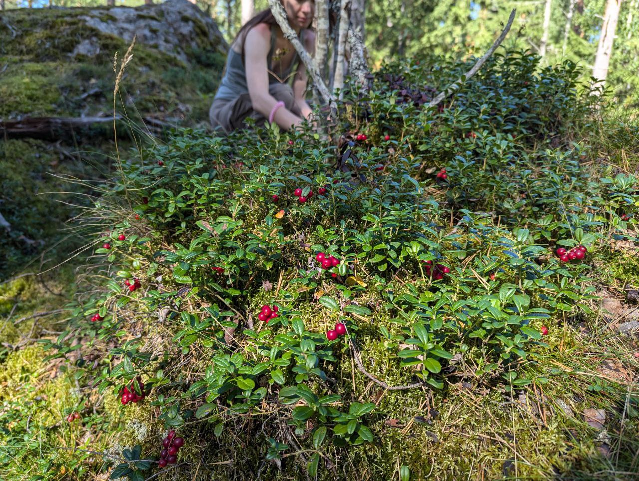 Приключения на озере с необычными стоянками