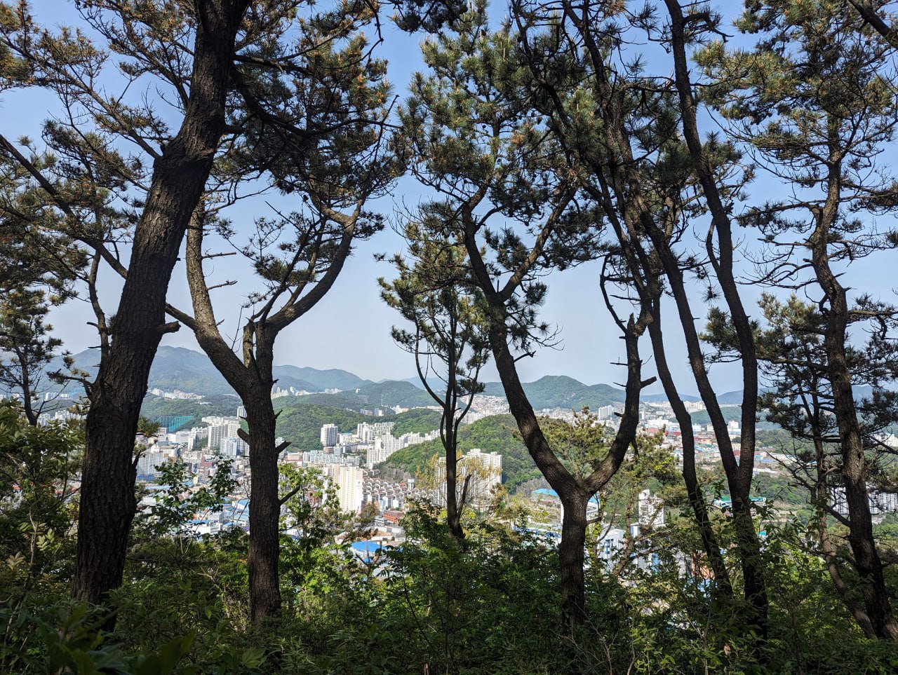 Неожиданный день на пляже и в обсерватории