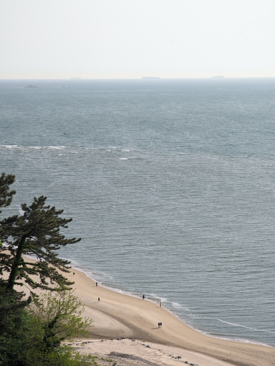 Неожиданный день на пляже и в обсерватории