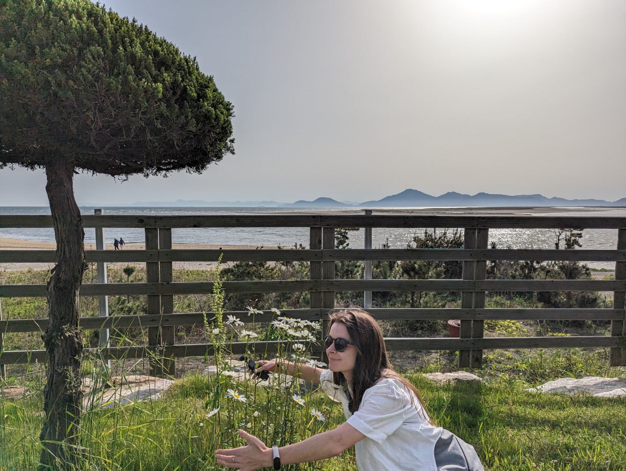 Неожиданный день на пляже и в обсерватории