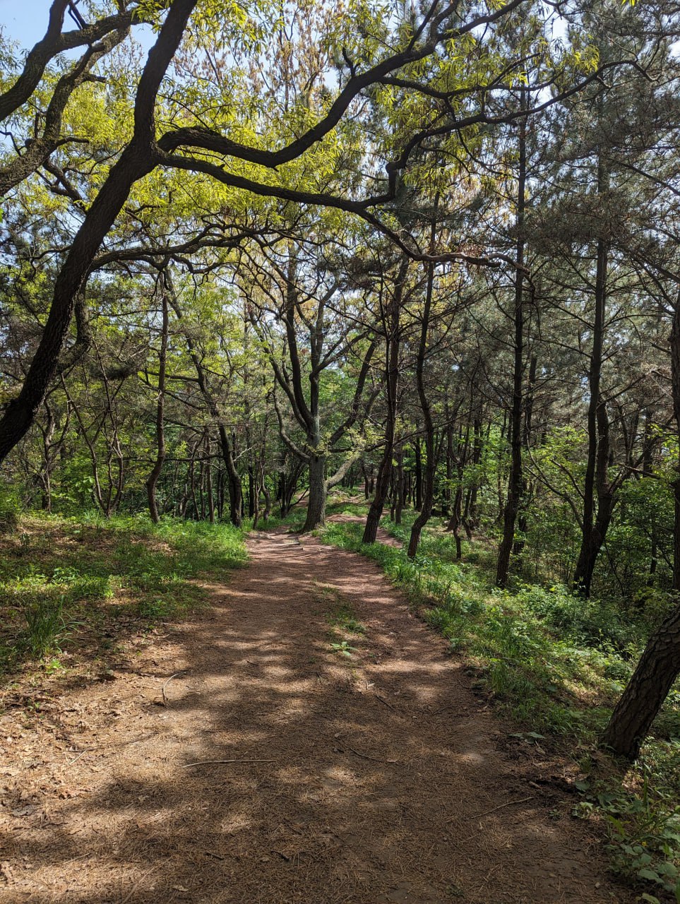 Неожиданный день на пляже и в обсерватории
