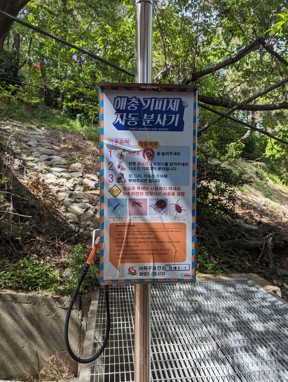 Неожиданный день на пляже и в обсерватории