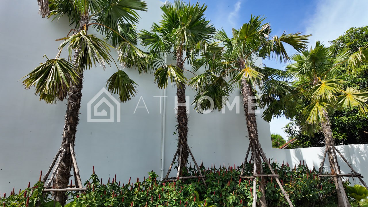 Продажа таунхауса с бассейном в Таиланде