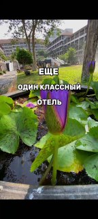 Обзор отеля с инфраструктурой для туристов