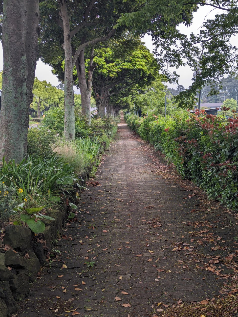 Путешествие на остров Чеджудо