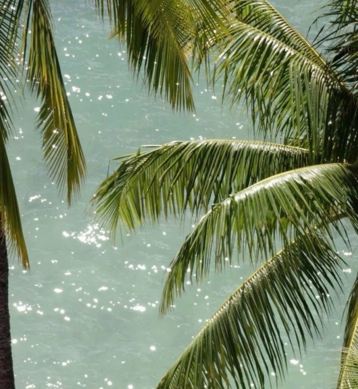 Продажа апартаментов в Бангтао