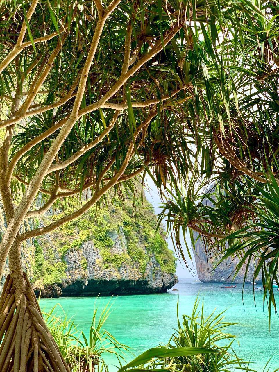 Места на экскурсии доступны