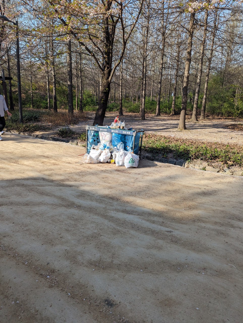 Управление мусором в городе