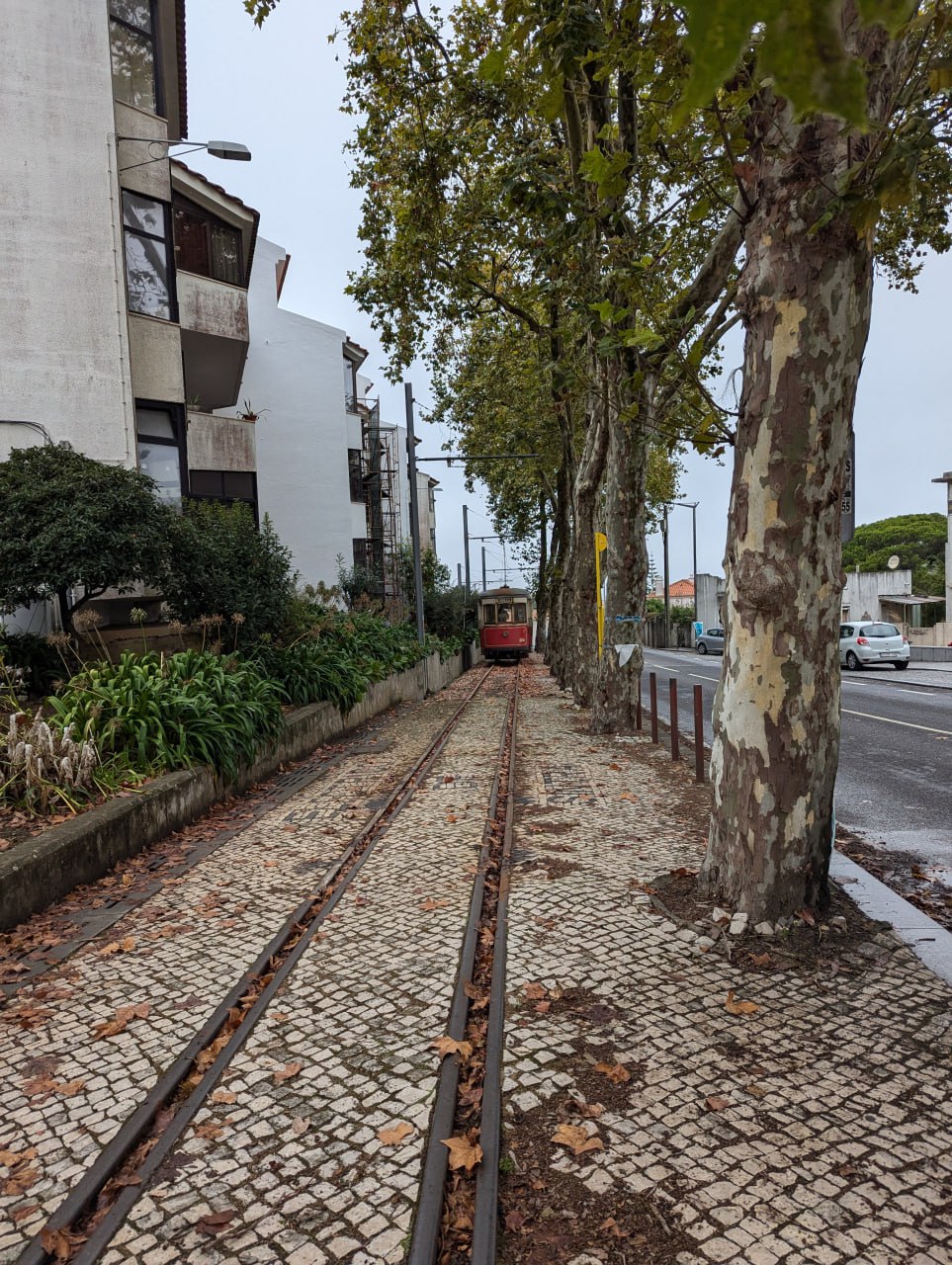 Путешествие на мыс Рока