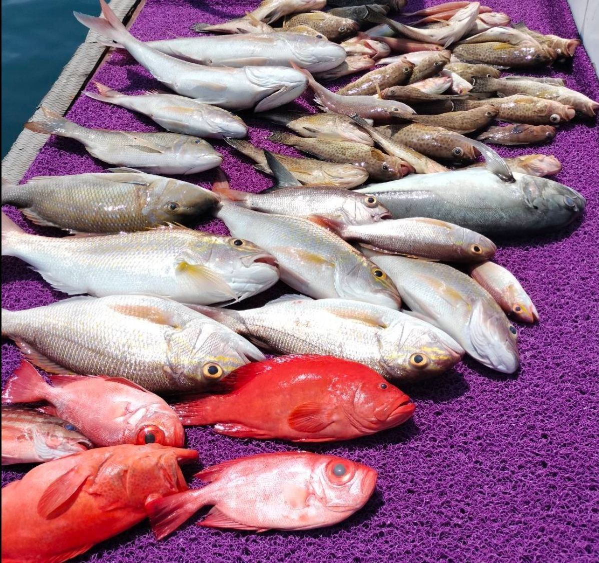 Морская рыбалка и дайвинг на Пхукете