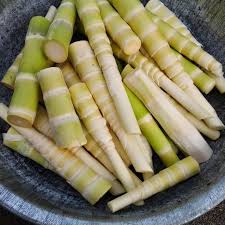 Бамбуковые побеги в тайской кухне