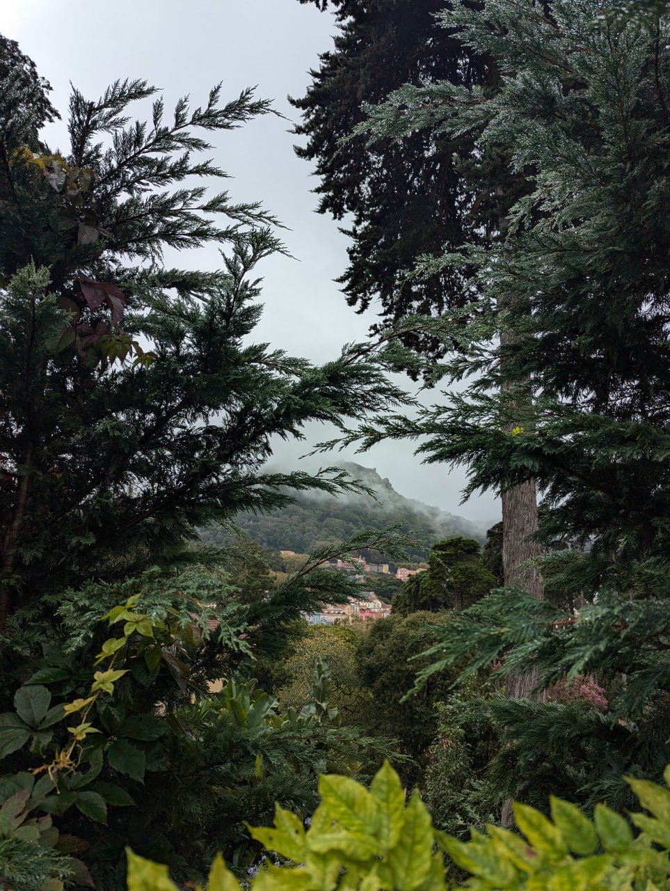 Путешествие на мыс Рока и трамвай