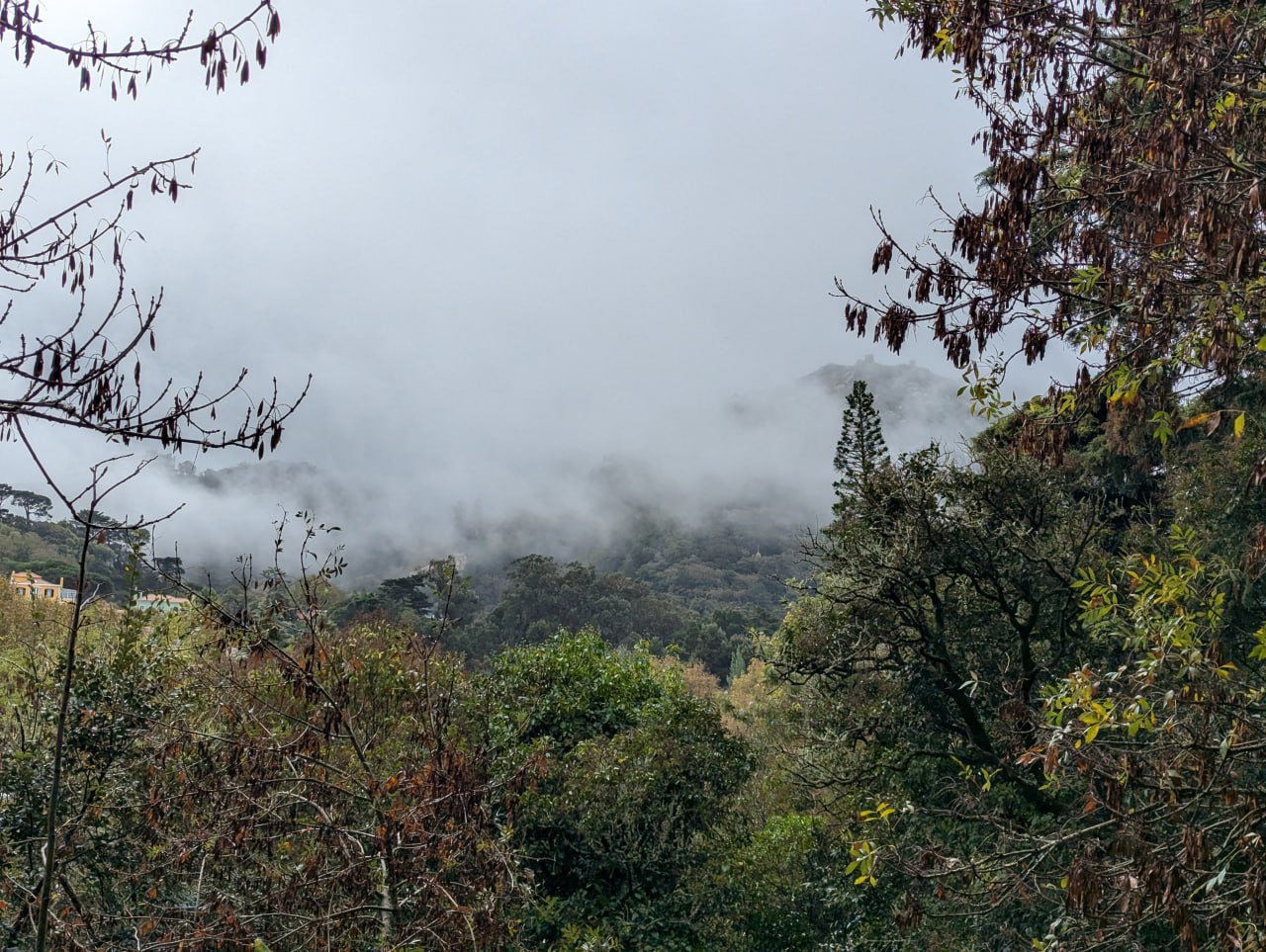 Путешествие на мыс Рока и трамвай