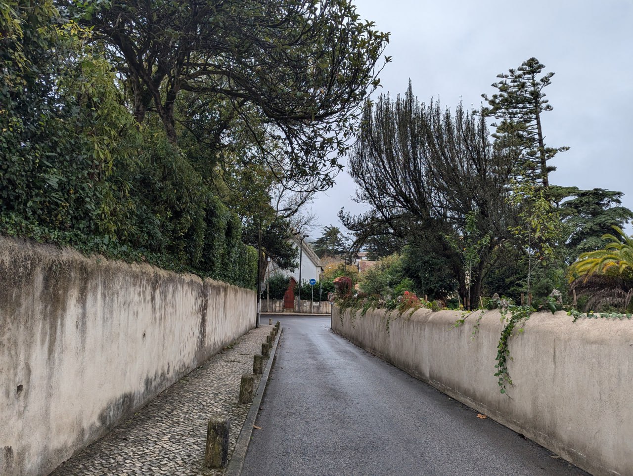 Путешествие на мыс Рока и трамвай