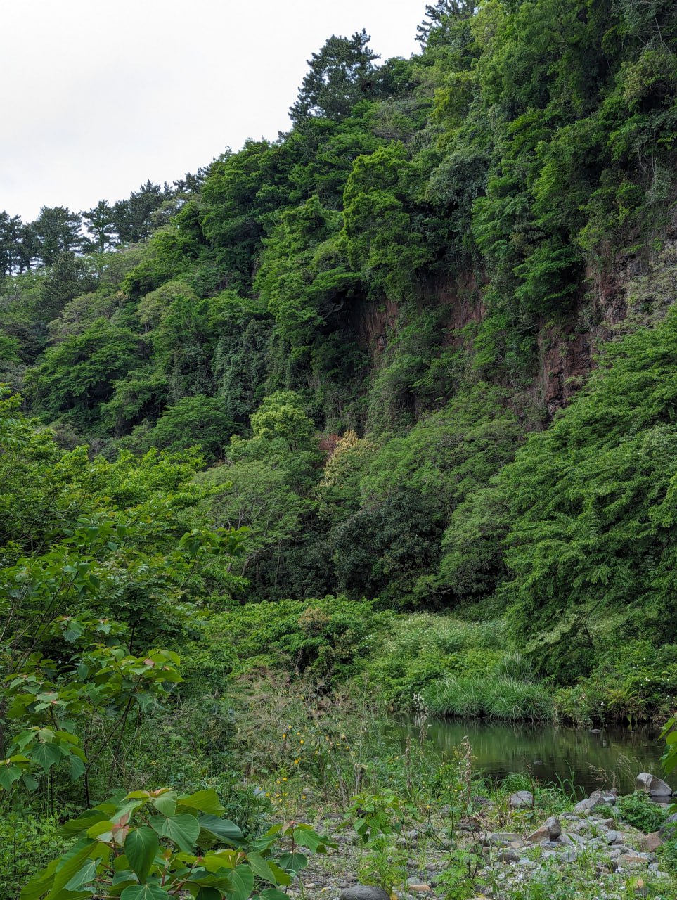 Путешествие на остров Чеджу