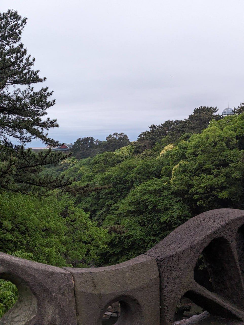 Путешествие на остров Чеджу