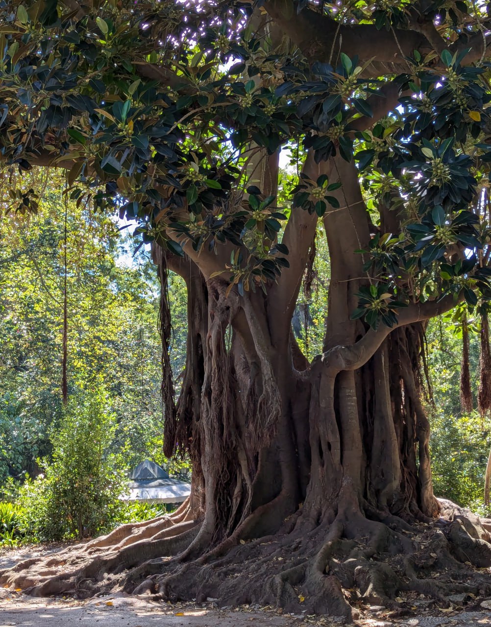 Моя Португалия: фото и описание