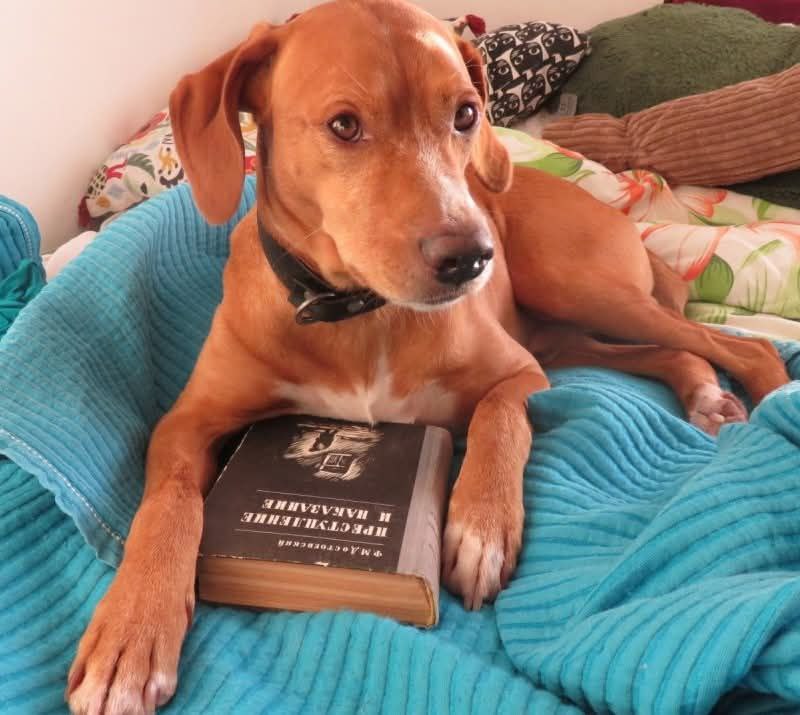 Необычный день в Португалии