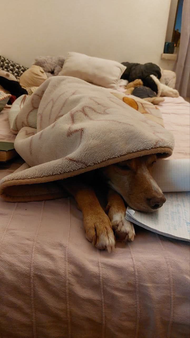 Необычный день в Португалии