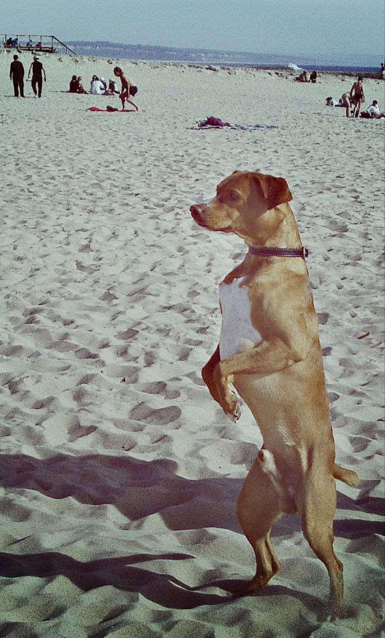 Необычный день в Португалии