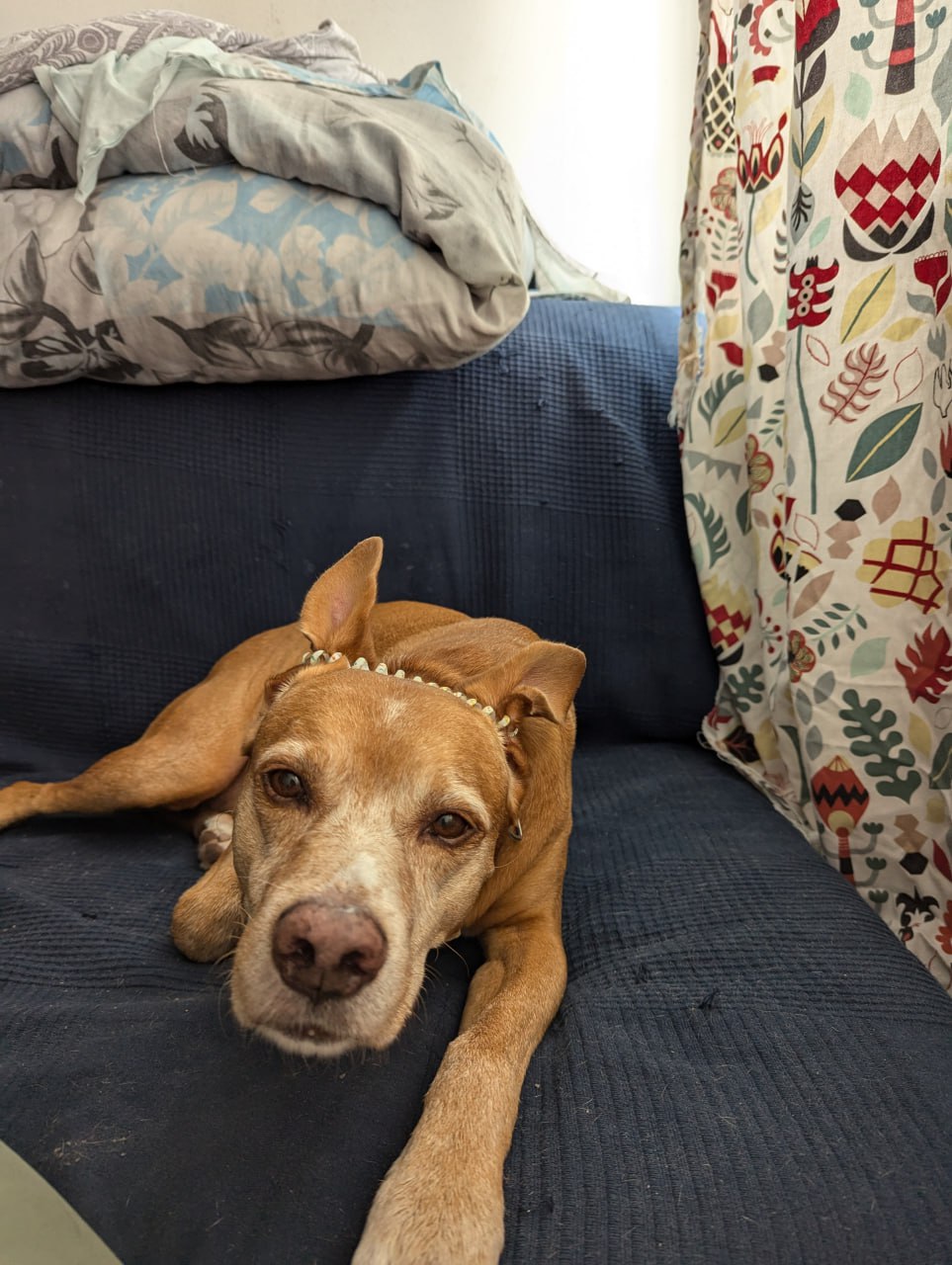 Необычный день в Португалии