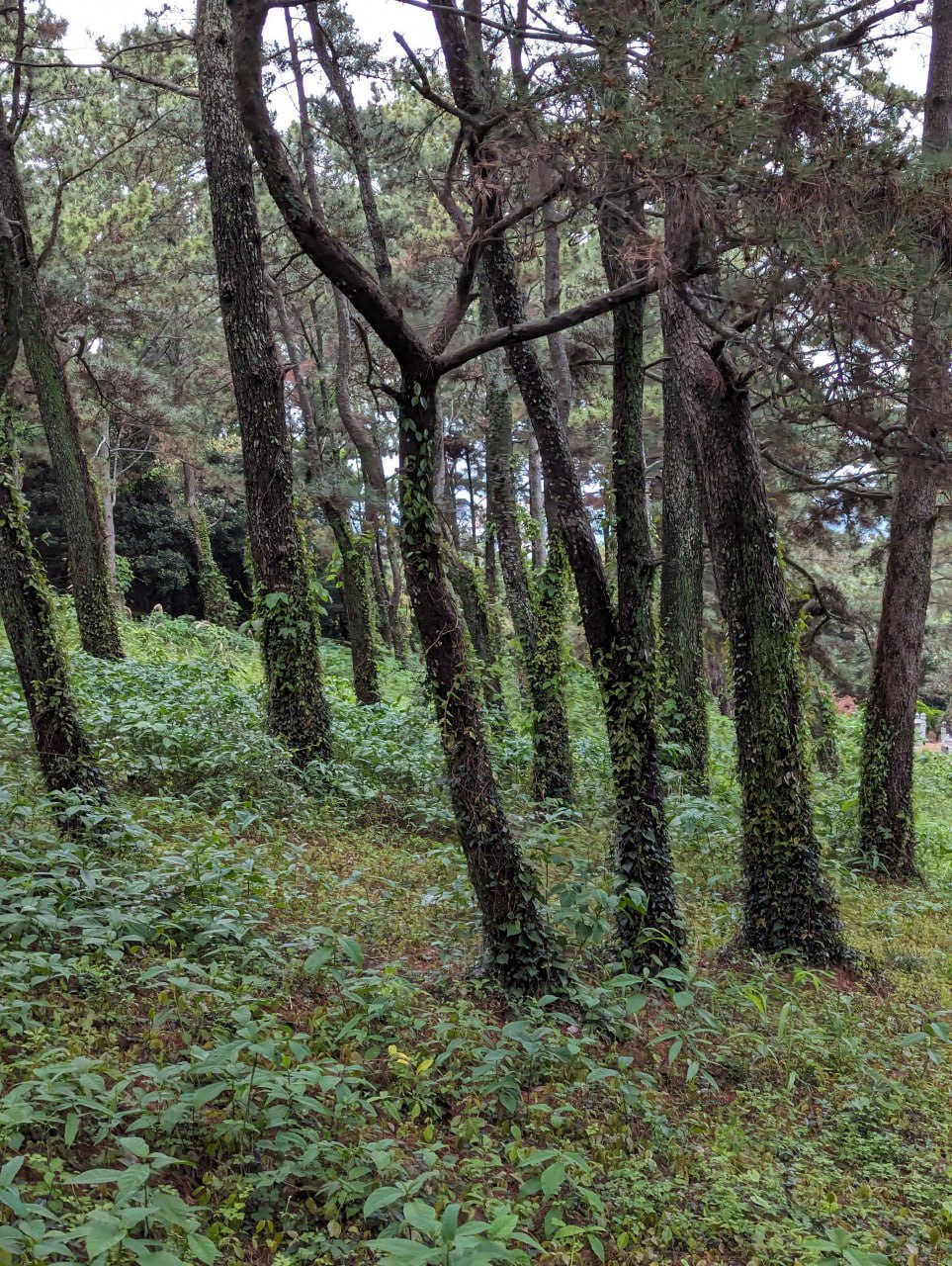 Прогулки по ботаническому саду и острову