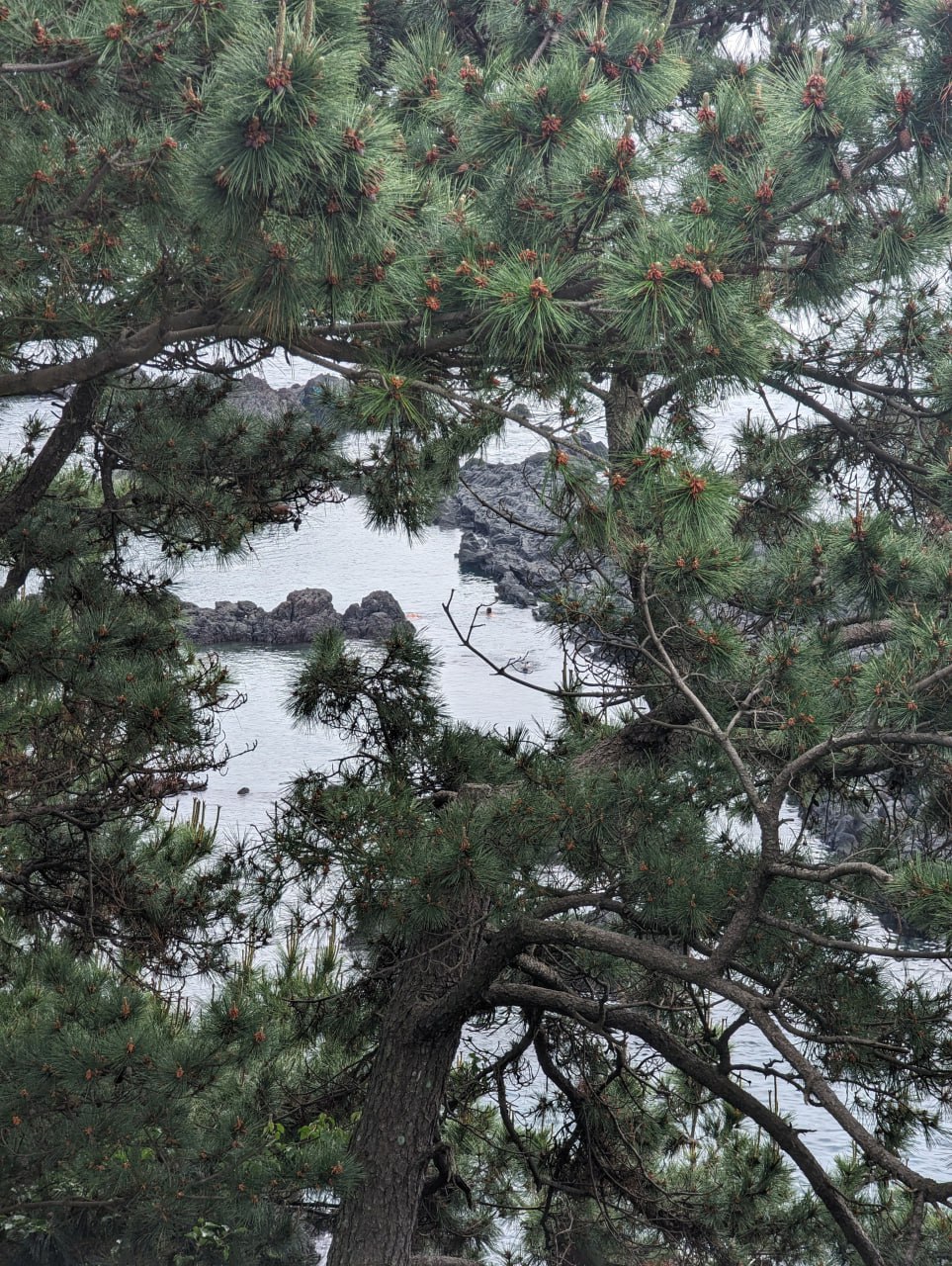 Прогулки по ботаническому саду и острову