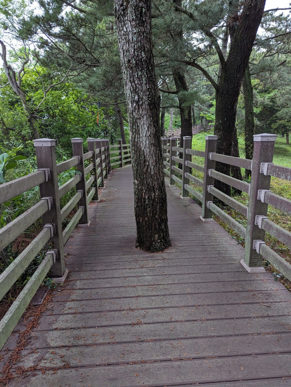 Прогулки по ботаническому саду и острову