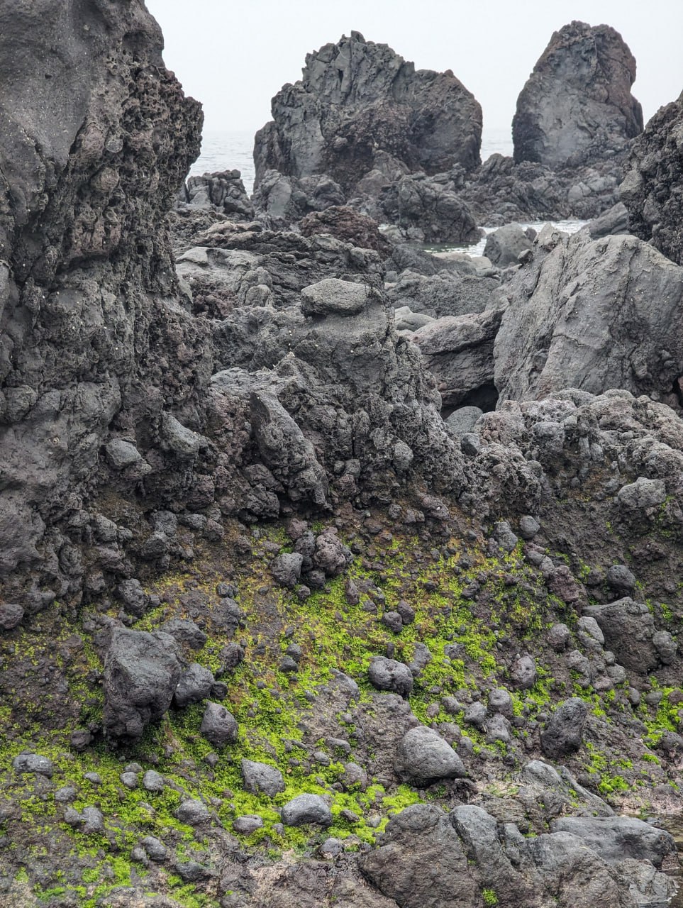 Побережье, ракушки и вулканические камни