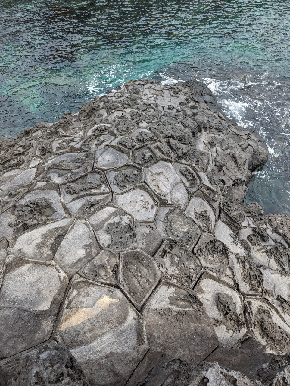 Побережье, ракушки и вулканические камни
