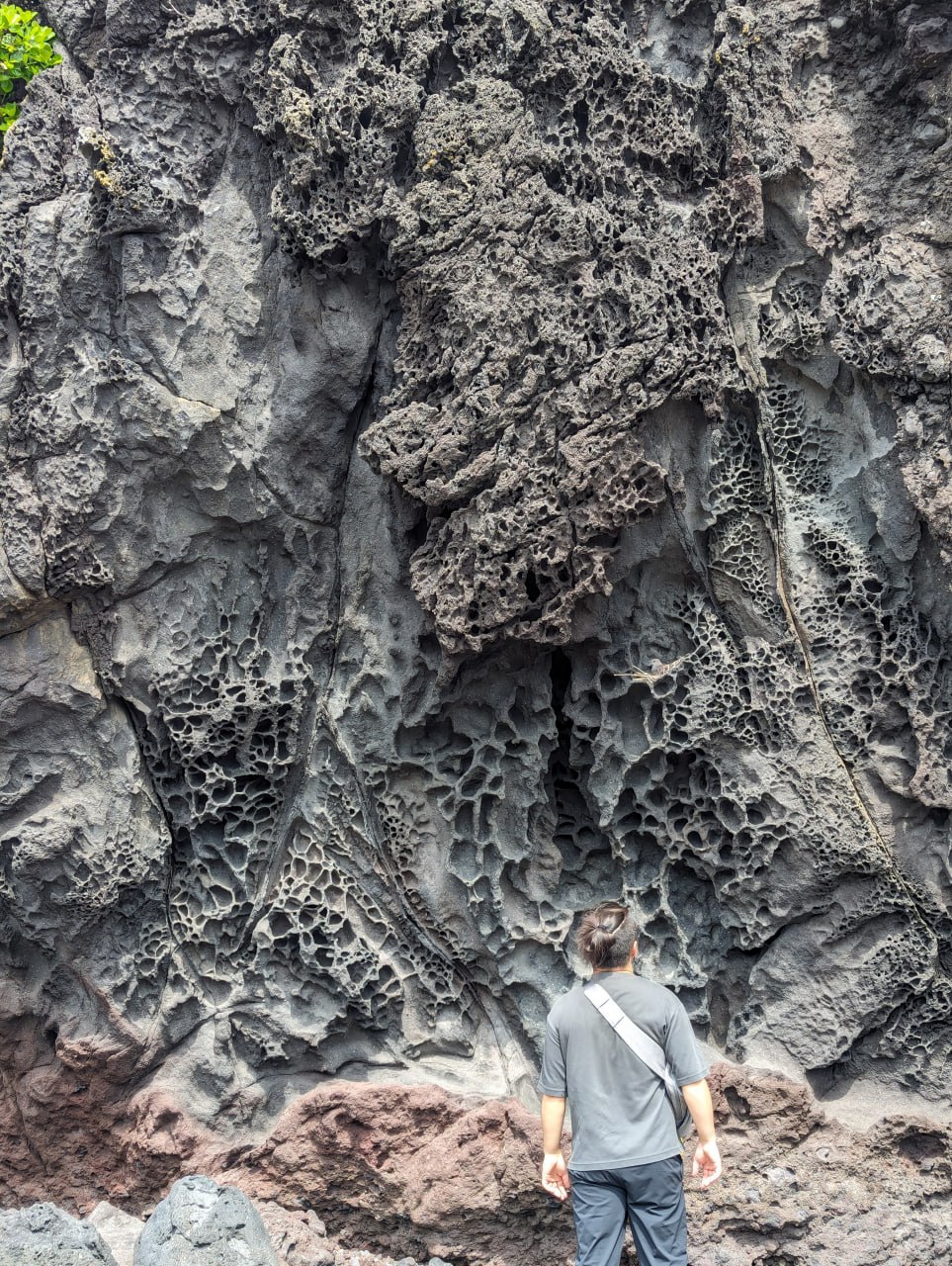 Побережье, ракушки и вулканические камни