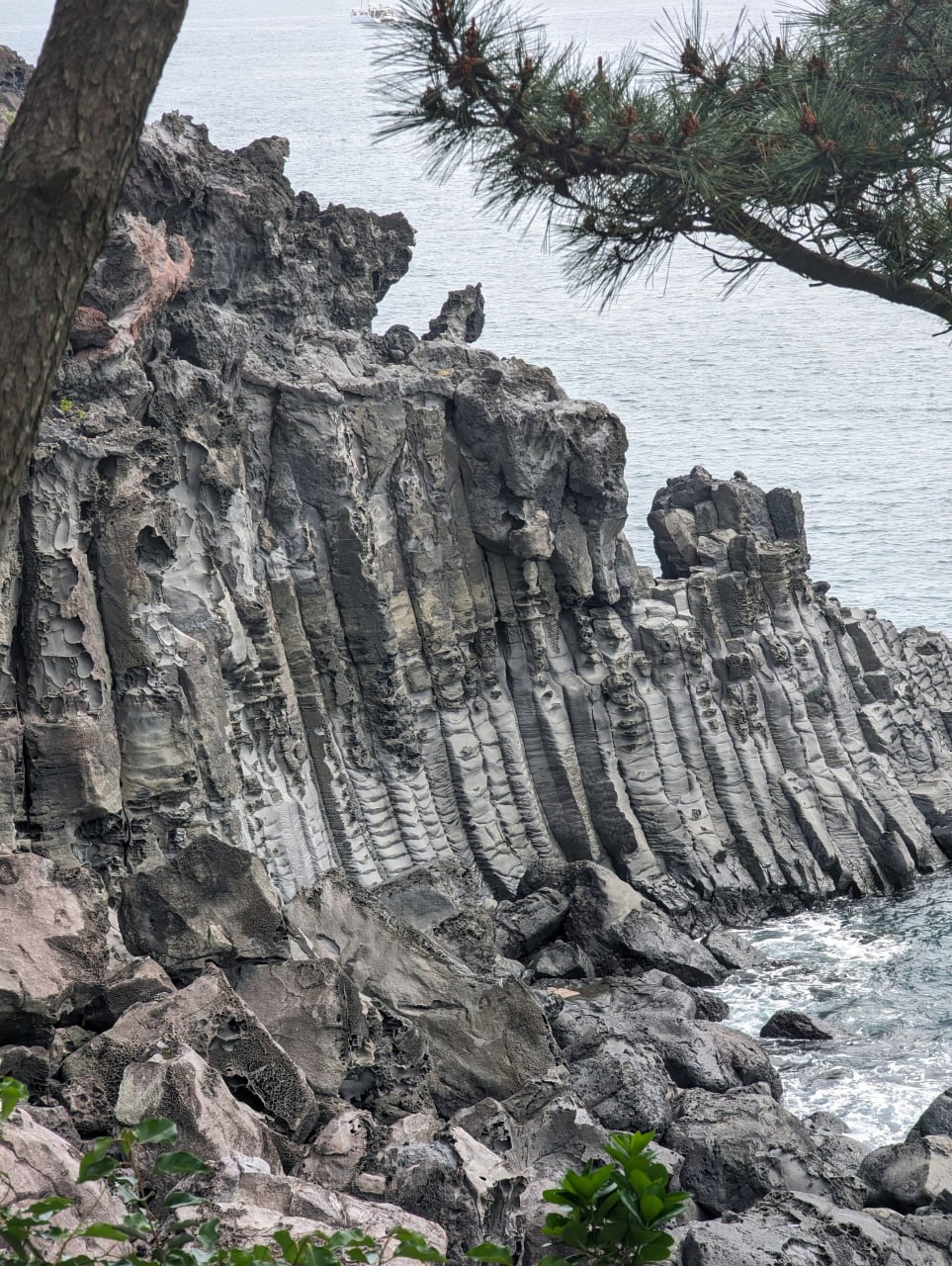 Побережье, ракушки и вулканические камни