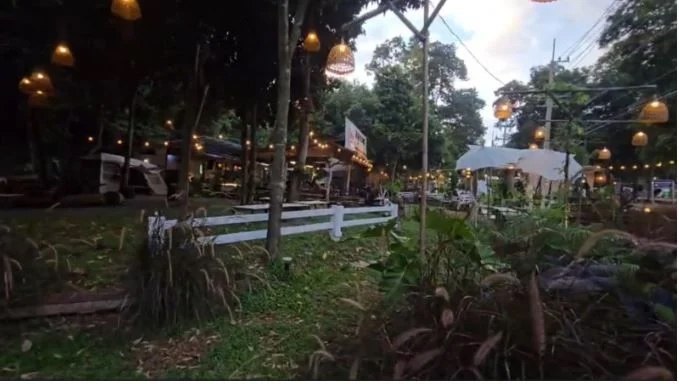 Слон в ресторане ищет еду